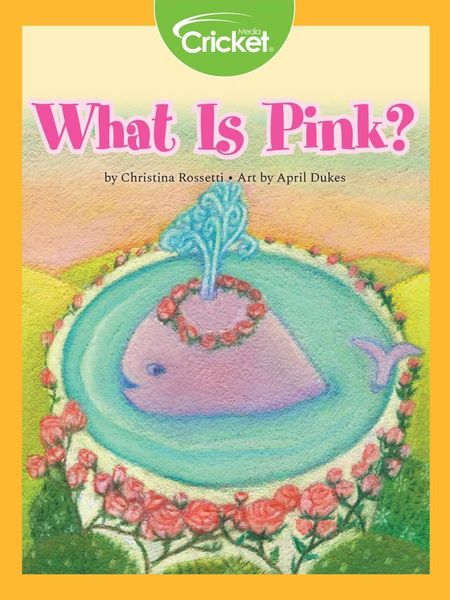 Produktbild: What Is Pink?