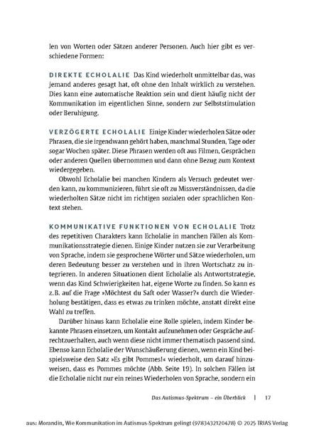 Produktbild: Wie Kommunikation im Autismus-Spektrum gelingt