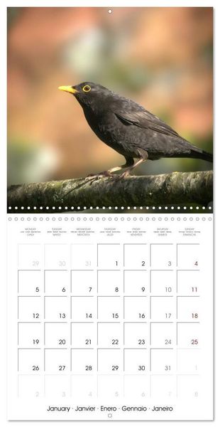 Produktbild: Blt, S: Esp&egrave;ces de Nouvelle Aquitaine (Calendrier mural carr