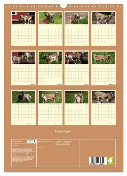 Produktbild: Zwergziegen (Wandkalender 2026 DIN A3 hoch), CALVENDO Monatskalender
