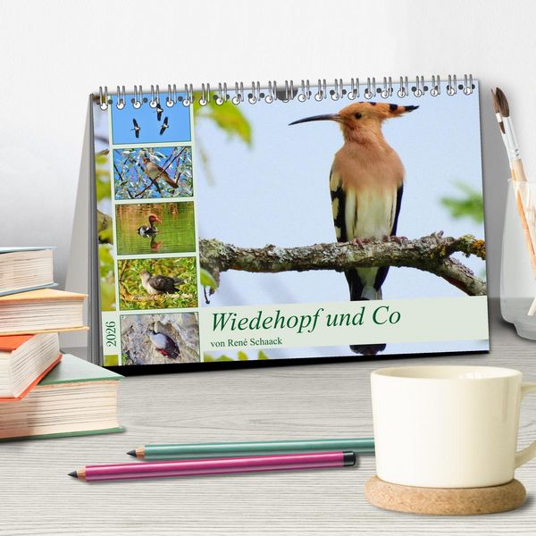 Produktbild: Wiedehopf und Co - von Ren&eacute; Schaack (Tischkalender 2026 DIN A5 quer), CALVENDO Monatskalender