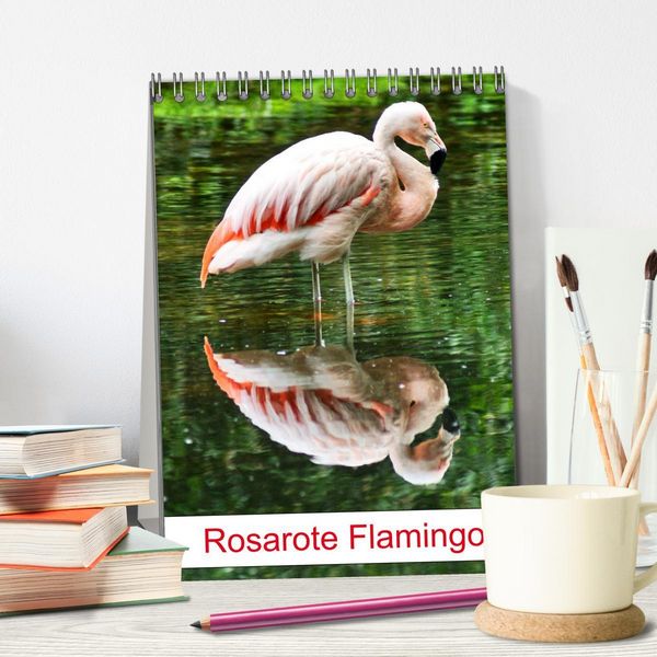 Produktbild: Rosarote Flamingo (Tischkalender 2026 DIN A5 hoch), CALVENDO Monatskalender