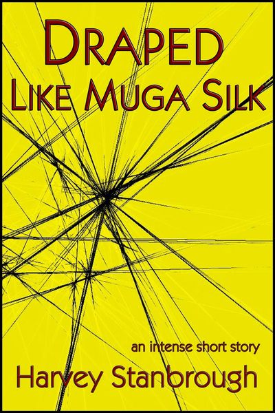 Produktbild: Draped Like Muga Silk