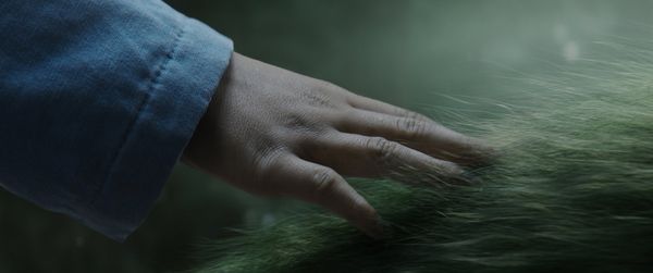 Produktbild: Elliot, der Drache