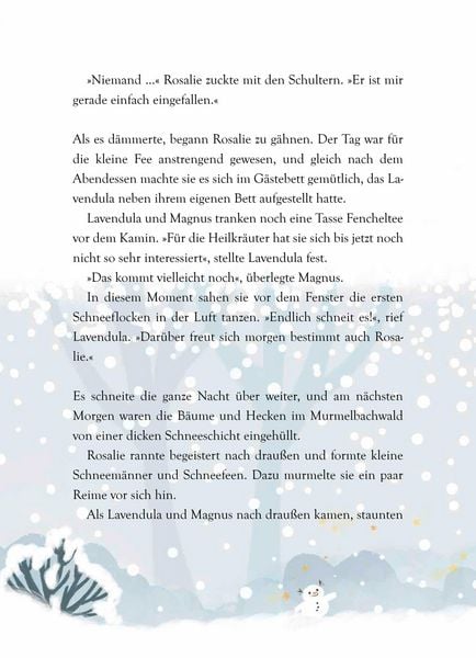 Produktbild: Weihnachten mit der kleinen Fee Lavendula