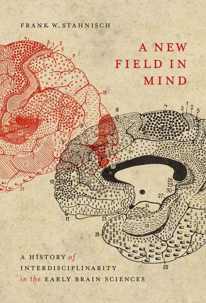 Produktbild: New Field in Mind