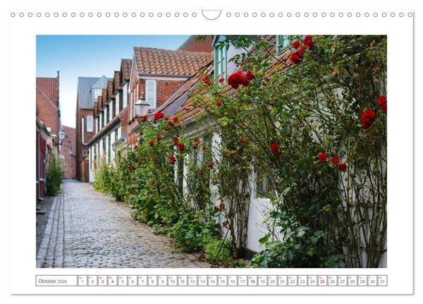Produktbild: Ribe, D&auml;nemarks alte Stadt mit Mittelaltercharme und Wikinger-Vergangenheit (Wandkalender 2026 DIN A3 quer), CALVENDO Monatskalender