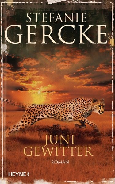 Produktbild: Junigewitter