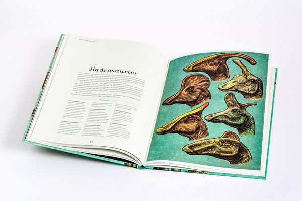 Produktbild: Das Museum der Dinosaurier