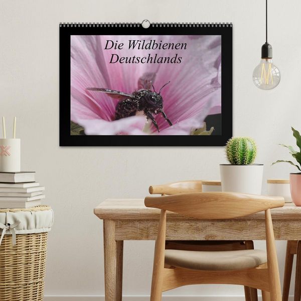 Produktbild: Die Wildbienen Deutschlands (Wandkalender 2026 DIN A3 quer), CALVENDO Monatskalender