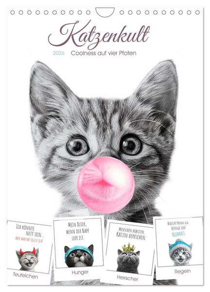 Produktbild: Katzenkult - Coolness auf vier Pfoten (Wandkalender 2026 DIN A4 hoch), CALVENDO Monatskalender