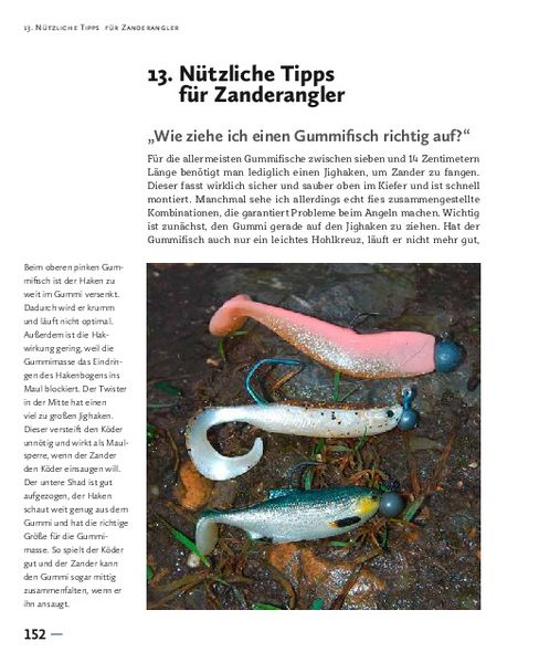 Produktbild: Faszination Zanderangeln