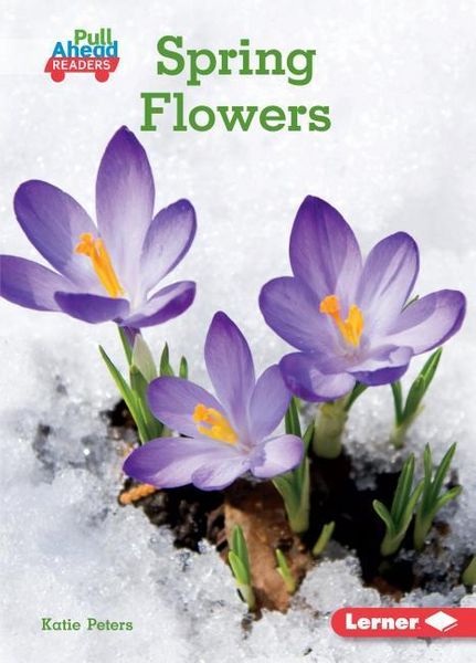 Produktbild: Spring Flowers