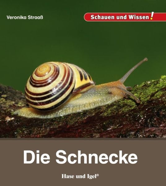 Produktbild: Die Schnecke