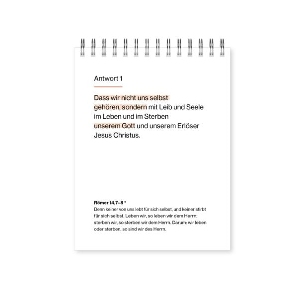 Produktbild: New City Katechismus (Tischkalender)