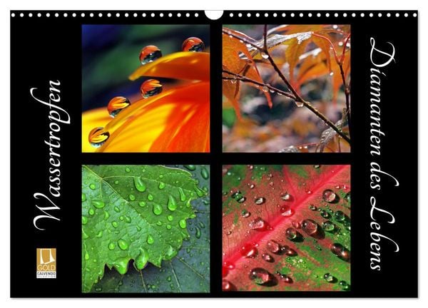 Produktbild: Wassertropfen - Diamanten des Lebens (Wandkalender 2026 DIN A3 quer), CALVENDO Monatskalender