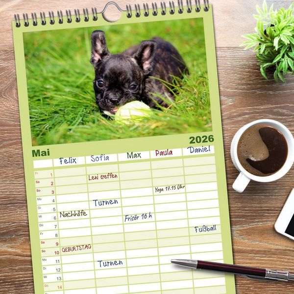 Produktbild: Familienplaner 2026 - Franz&ouml;sische Bulldoggen mit 5 Spalten (Wandkalender, 21 x 45 cm) CALVENDO