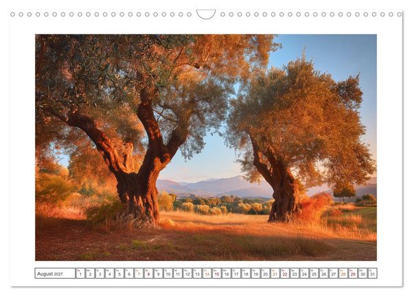 Produktbild: Die Magie der Olivenhaine (Wandkalender 2027 DIN A3 quer), CALVENDO Monatskalender