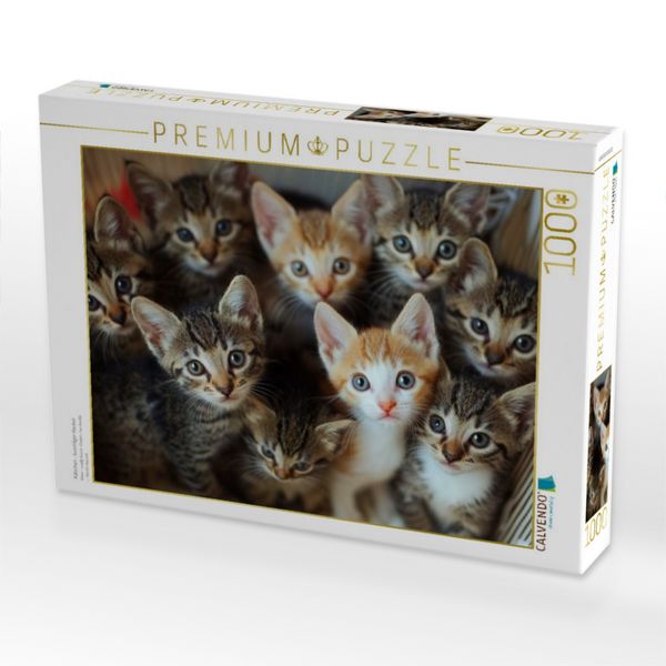Produktbild: CALVENDO Puzzle K&auml;tzchen - kuschliger Haufen | 1000 Teile Lege-Gr&ouml;&szlig;e 64x48cm Foto-Puzzle f&uuml;r gl&uuml;ckliche Stunden