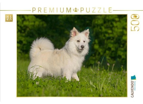 CALVENDO Puzzle Selbsbewusster Islandhund | 500 Teile Lege-Größe 48 × 36 cm Foto-Puzzle für Erwachsene