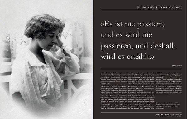Produktbild: D&auml;nemark. Das Buch