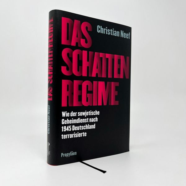 Das Schattenregime