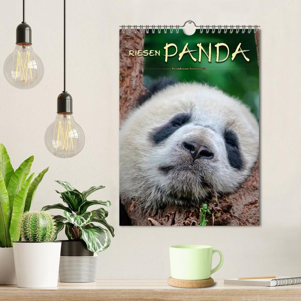 Produktbild: Riesenpanda (Wandkalender 2026 DIN A4 hoch), CALVENDO Monatskalender