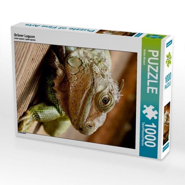 Grüner Leguan (Puzzle)