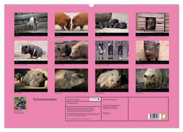 Produktbild: Schweinereien (Wandkalender 2026 DIN A2 quer), CALVENDO Monatskalender