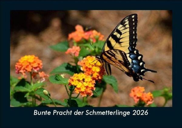 Bunte Pracht der Schmetterlinge 2026 Fotokalender DIN A5