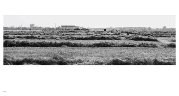 Produktbild: Tempelhof. metamorphosis