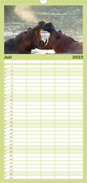 Produktbild: Flusspferde Magie des Augenblicks - Hippos in Afrika - Familienplaner hoch (Wandkalender 2022 , 21 cm x 45 cm, hoch)