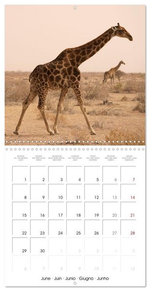 Produktbild: Namibian Adventure (Wall Calendar 2026 12 &times; 12 Inch) CALVENDO 12 Month Wall Calendar