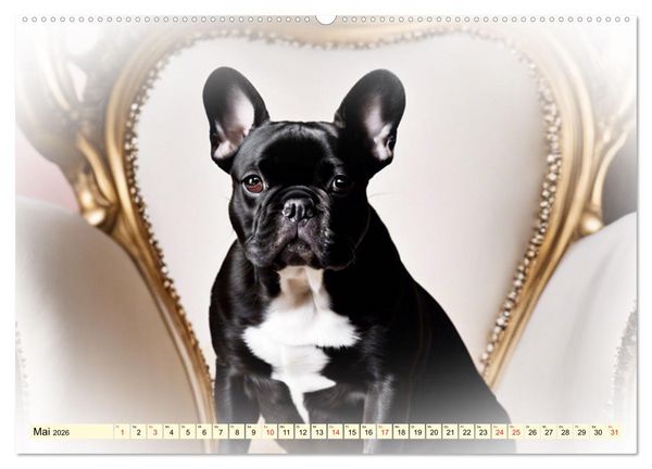 Produktbild: Rasseportraits - Hunde (Wandkalender 2026 DIN A2 quer), CALVENDO Monatskalender