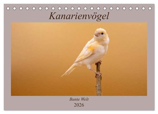 Kanarienvögel - Bunte Welt (Tischkalender 2026 DIN A5 quer), CALVENDO Monatskalender