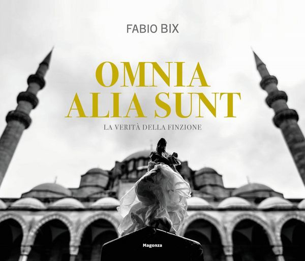 Produktbild: Omnia alia sunt. La verit&agrave; della finzione. Ediz. italiana e inglese