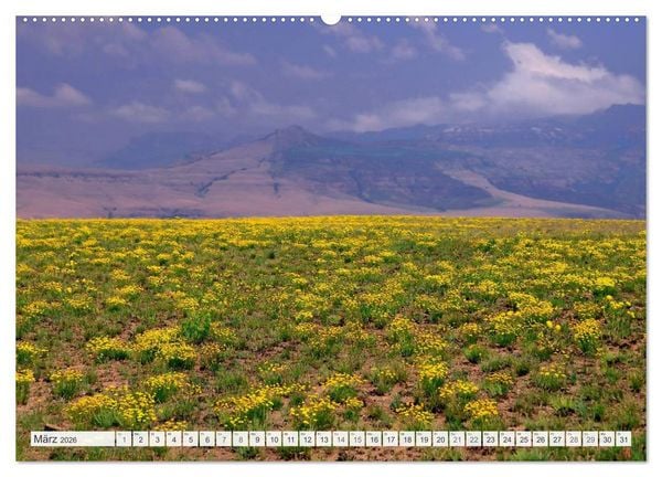 Produktbild: S&uuml;dafrika / Landschaften & Tiere / Christian Heeb (hochwertiger Premium Wandkalender 2026 DIN A2 quer), Kunstdruck in Hochglanz