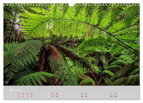 Produktbild: Tasmanien - Juwel am anderen Ende der Welt (Wandkalender 2026 DIN A3 quer), CALVENDO Monatskalender
