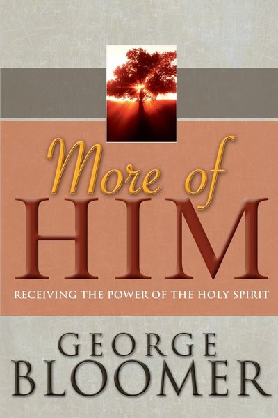 Produktbild: More of Him