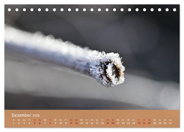 Produktbild: Der Zauber steckt immer im Detail (Tischkalender 2026 DIN A5 quer), CALVENDO Monatskalender