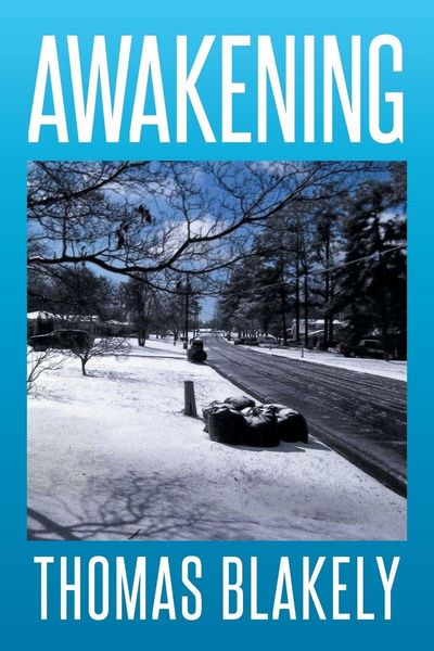 Produktbild: Awakening