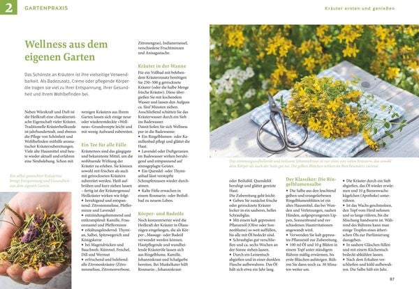 Produktbild: Kr&auml;uter selbst anbauen