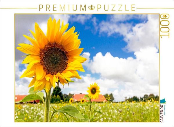 Produktbild: CALVENDO Puzzle Eversmeer - Sonnenblumenfeld | 1000 Teile Lege-Gr&ouml;&szlig;e 64x48cm Foto-Puzzle f&uuml;r gl&uuml;ckliche Stunden