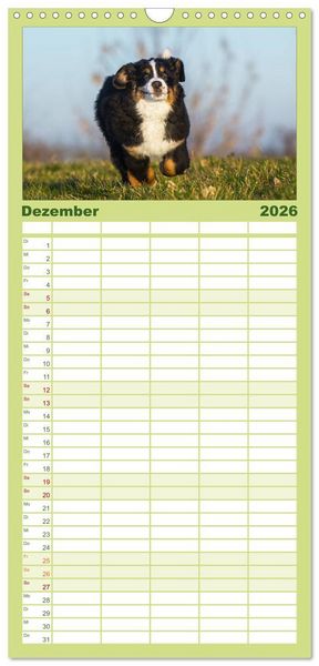 Produktbild: Familienplaner 2026 - Treuer Freund Berner Sennenhund mit 5 Spalten (Wandkalender, 21 x 45 cm) CALVENDO