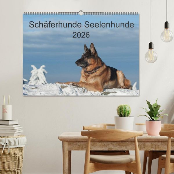 Produktbild: Sch&auml;ferhunde Seelenhunde (Wandkalender 2026 DIN A2 quer), CALVENDO Monatskalender