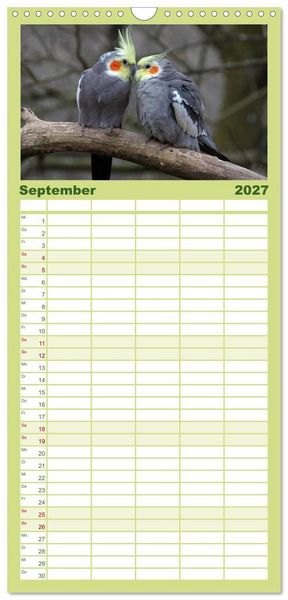 Produktbild: Familienplaner 2027 - Nymphensittiche mit 5 Spalten (Wandkalender, 21 x 45 cm) CALVENDO