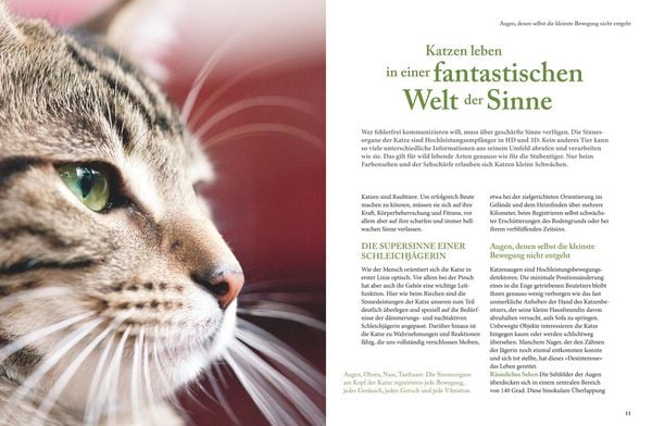 Produktbild: Katzensprache