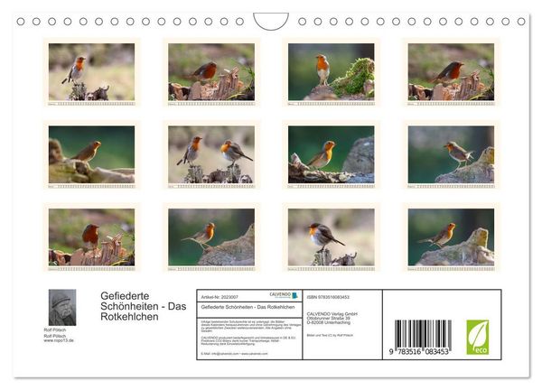 Produktbild: Gefiederte Sch&ouml;nheiten - Das Rotkehlchen (Wandkalender 2026 DIN A4 quer), CALVENDO Monatskalender