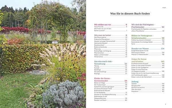 Produktbild: Das BLV Handbuch Stauden