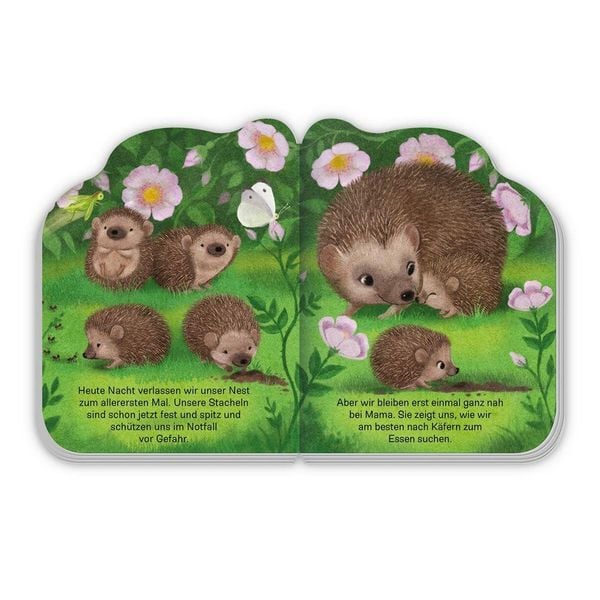 Produktbild: TR&Ouml;TSCH - Pappenbuch Der kleine Igel | Ab 1 Jahr